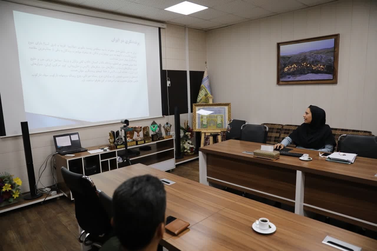 لزوم اجرای گشتهای پرندهنگری توسط بخش خصوصی/ زیرساختهای تالاب هویزه با هدف پرندهنگری فعال میشود