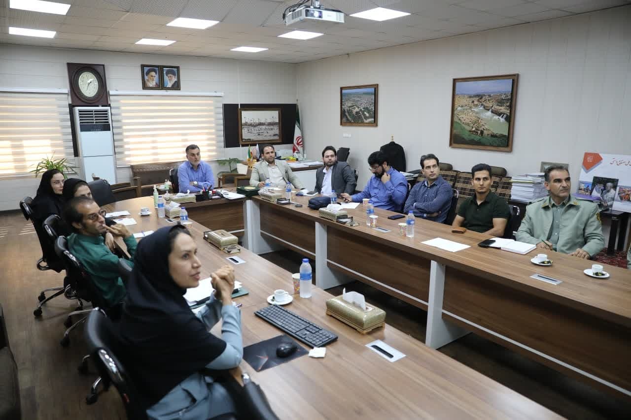 لزوم اجرای گشتهای پرندهنگری توسط بخش خصوصی/ زیرساختهای تالاب هویزه با هدف پرندهنگری فعال میشود