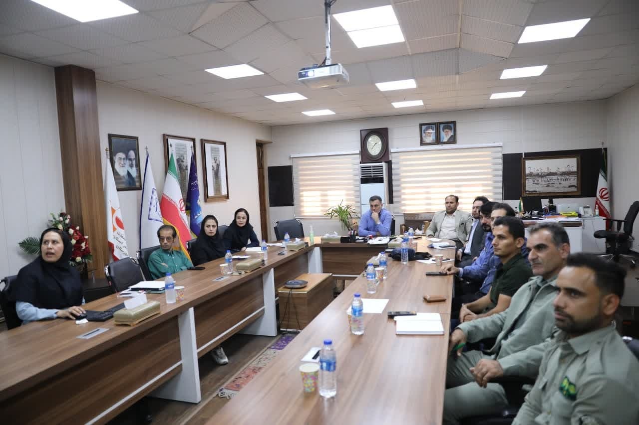 لزوم اجرای گشتهای پرندهنگری توسط بخش خصوصی/ زیرساختهای تالاب هویزه با هدف پرندهنگری فعال میشود