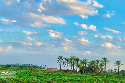 دشتستان، نگین سبز استان بوشهر