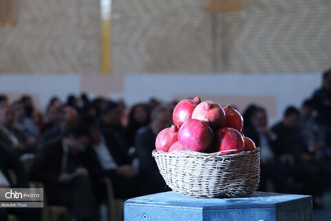 دومین جشنواره انار ایج و رودبال