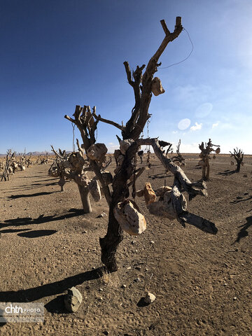 باغ سنگی