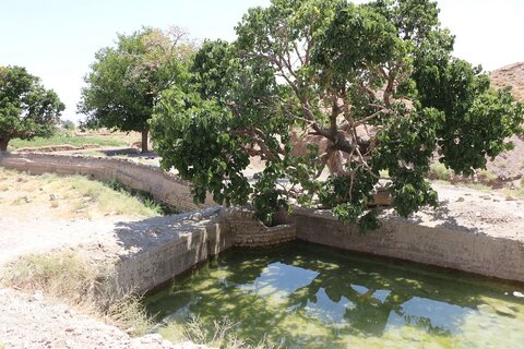 مسجد نور نام مسجد  روستای بزد تربت جام