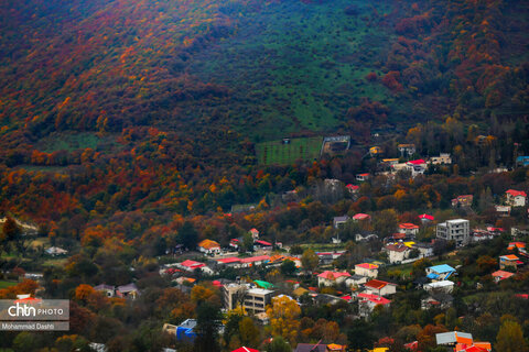 پاییز در گردنه حیران