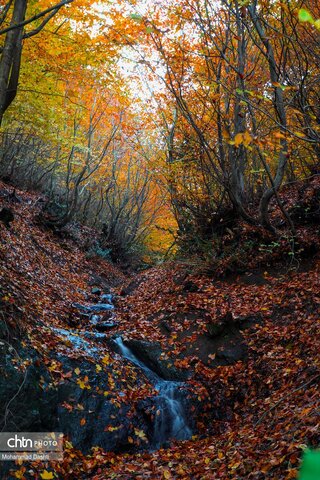 پاییز در گردنه حیران