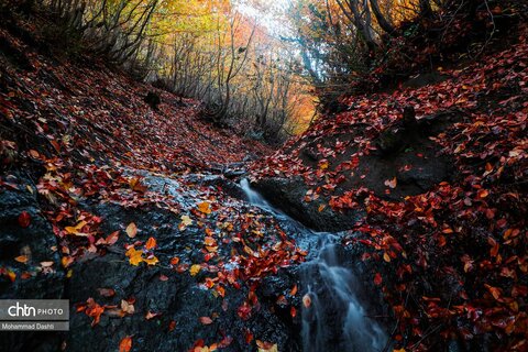 پاییز در گردنه حیران