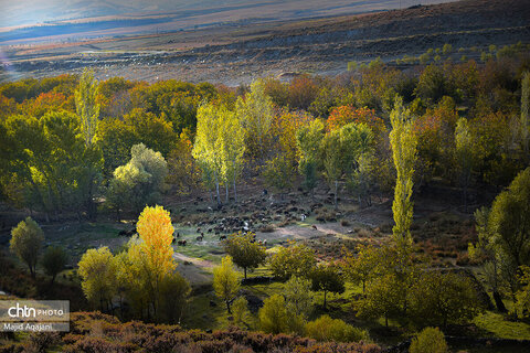 پاییز زیبای علی آباد دمق شهرستان ملایر