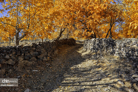 پاییز زیبای علی آباد دمق شهرستان ملایر