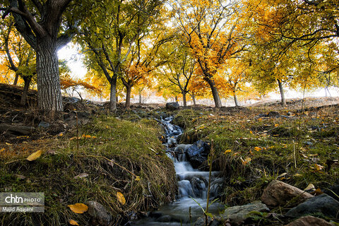 پاییز زیبای علی آباد دمق شهرستان ملایر