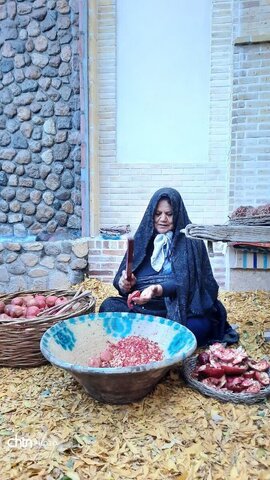 برگزاری فم تور با حضور راهنمایان گردشگری استان یزد در شهرستان اردکان