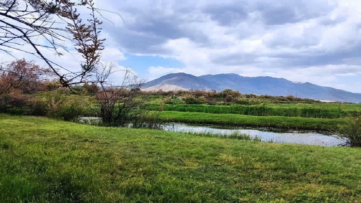 تالاب بیشه دالان