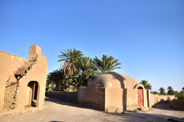 طلای کویر در قلب ایران؛ طرود، سرزمین نخل و شن‌های روان