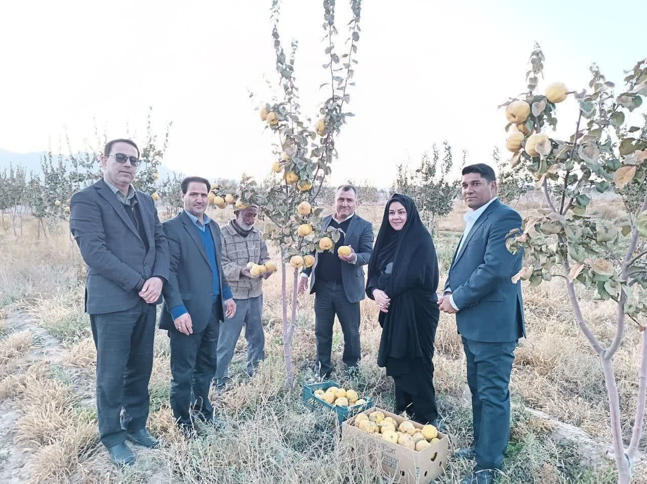 نخستین جشنواره استانی بِه بهاباد برگزار شد