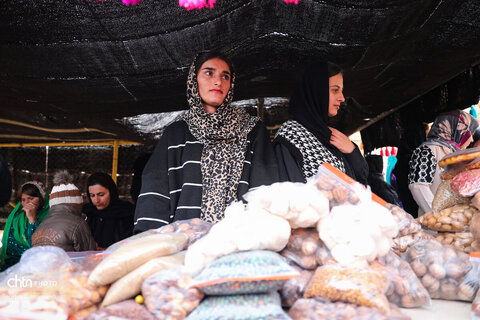 سومین جشنواره شکرانه برداشت زعفران دزپارت