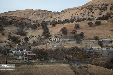 سومین جشنواره شکرانه برداشت زعفران دزپارت