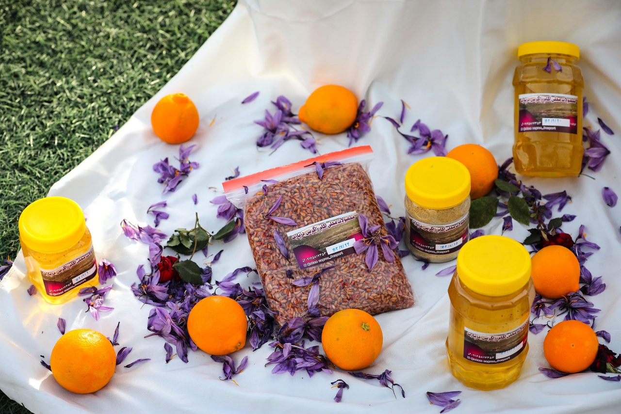 سومین جشنواره شکرانه برداشت زعفران در دزپارت برگزار شد