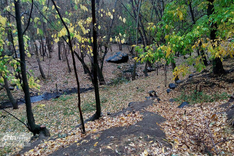 پاییز زیبای تویسرکان بهشت غرب ایران