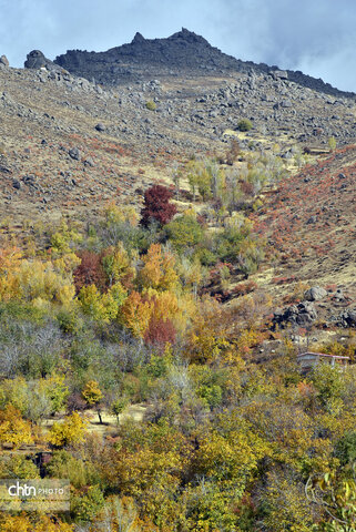 پاییز زیبای تویسرکان بهشت غرب ایران