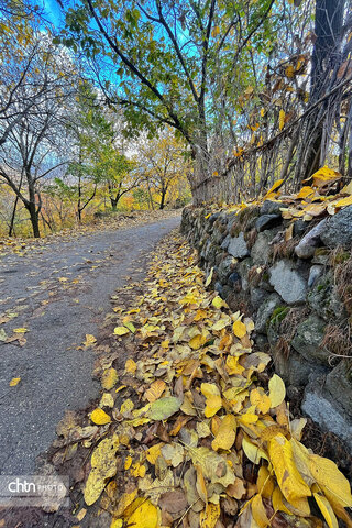پاییز زیبای تویسرکان بهشت غرب ایران