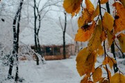 سیمای برفی موزه میراث روستایی گیلان