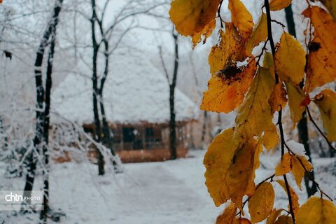 سیمای برفی موزه میراث روستایی گیلان