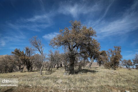 جادههای شمال شرق خوزستان