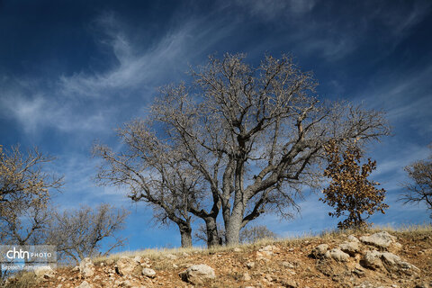 جادههای شمال شرق خوزستان