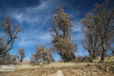 جادههای شمال شرق خوزستان