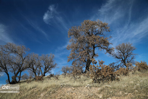 جادههای شمال شرق خوزستان