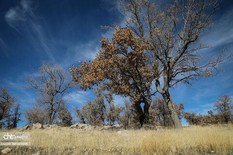 جادههای شمال شرق خوزستان
