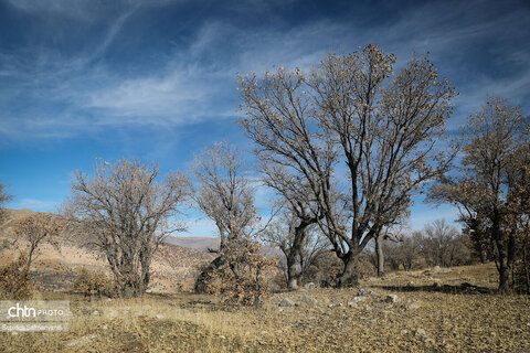 جادههای شمال شرق خوزستان