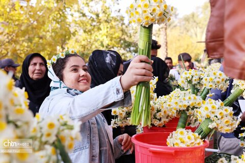 ششمین جشنواره گل نرگس خفر