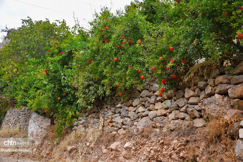 روستای ژیوار، تجلی معماری سازگار با طبیعت