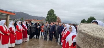 برگزاری جشنواره کشاورزی شکرانه کیوی در تالش