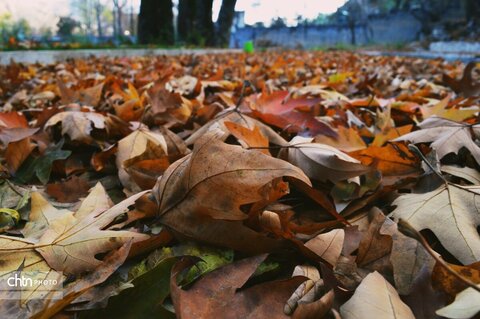 باغ گلستان خرم‌آباد، جلوه‌ای از تاریخ