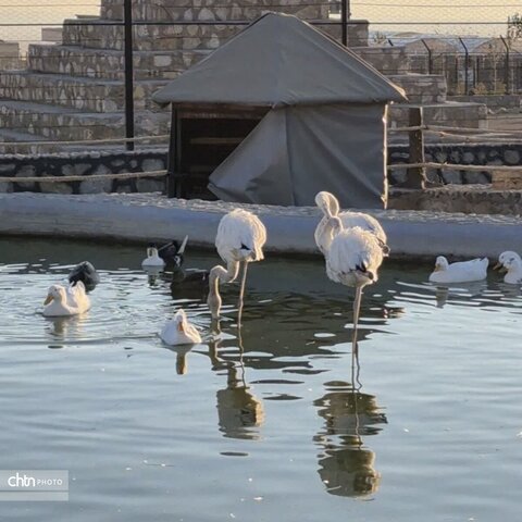 بازدید مدیرکل میراث فرهنگی،گردشگری و صنایع دستی استان یزد از مجموعه نیر زیبای من