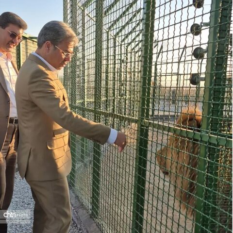 بازدید مدیرکل میراث فرهنگی،گردشگری و صنایع دستی استان یزد از مجموعه نیر زیبای من