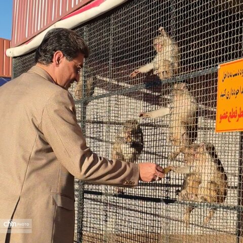 بازدید مدیرکل میراث فرهنگی،گردشگری و صنایع دستی استان یزد از مجموعه نیر زیبای من