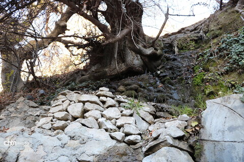 زمستان روستای ((کلم))جاذبه گردشگری ناشناخته در استان ایلام