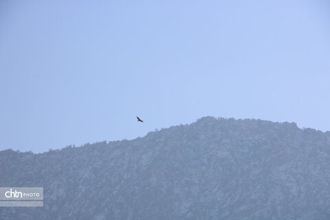 «مانشت و قِلارنگ» ایلام، بهشت طبیعت‌گردان حرفه‌ای