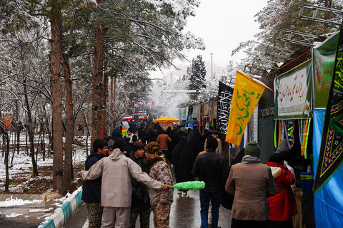 گلزار شهداکرمان