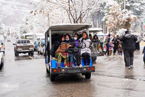 گلزار شهداکرمان