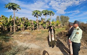 بازدید معاون صنایع‌دستی و هنرهای سنتی از زیرساخت‌های شهرستان زرآباد در سیستان و بلوچستان