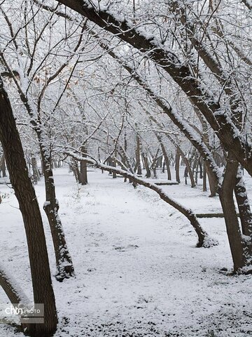 بارش برف در تکاب با دورنمایی از مجموعه جهانی تخت سلیمان