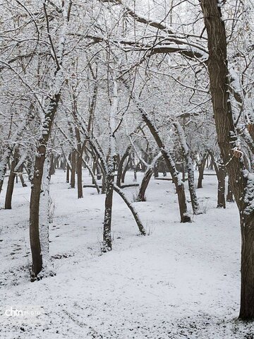 بارش برف در تکاب با دورنمایی از مجموعه جهانی تخت سلیمان