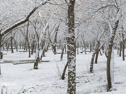 بارش برف در تکاب با دورنمایی از مجموعه جهانی تخت سلیمان