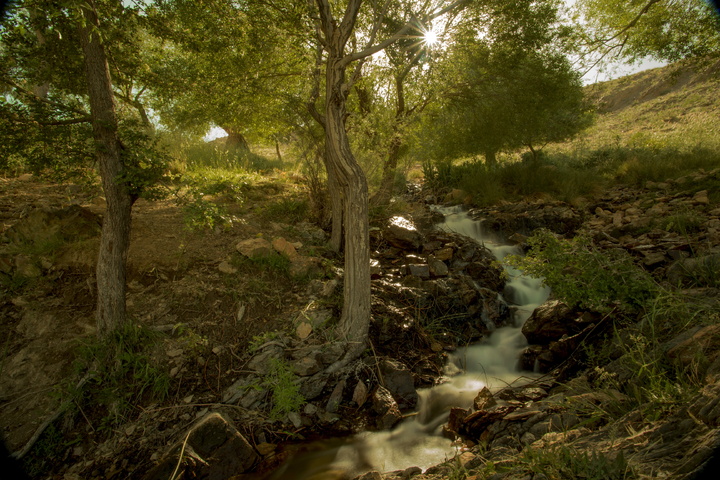 شهرستان شازند