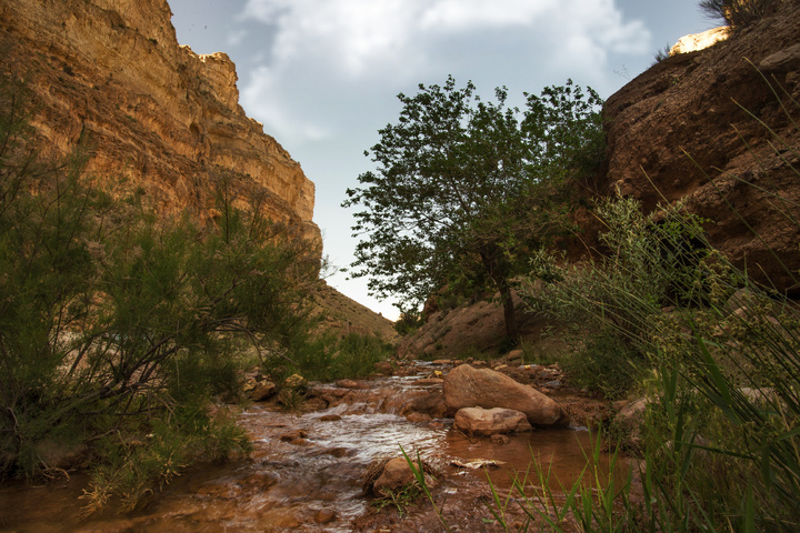 شهرستان دلیجان