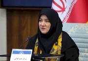 قدردانی معاون صنایع‌دستی و هنرهای سنتی کشور از مدیرکل میراث‌فرهنگی ایلام