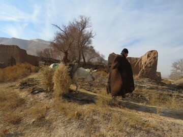 برگزاری آیین سنتی بازگشت کردعلی در نیم‌ور/ نمادی از همبستگی و حفظ فرهنگ بومی